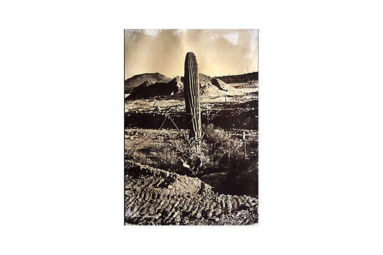 hm15 Desert-Conserv-Tucson